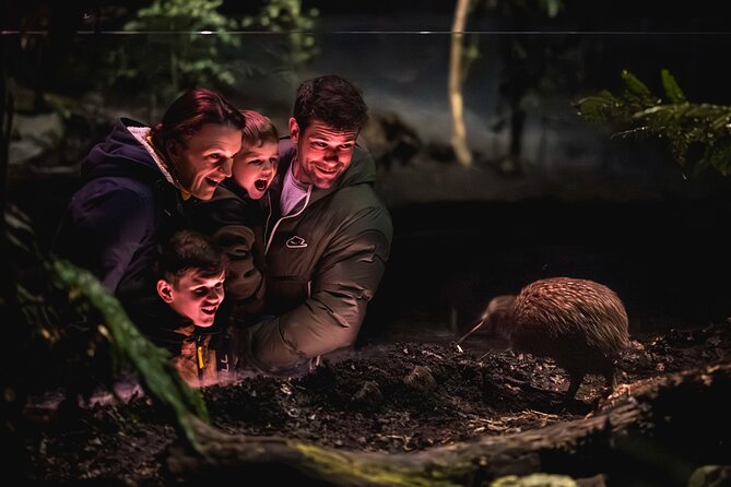 Kiwi Park Queenstown Admission - A five-acre walk through native bush
