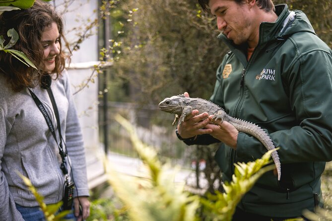 Kiwi Park Queenstown Admission - Tuatara and the birds you may not see in the wild