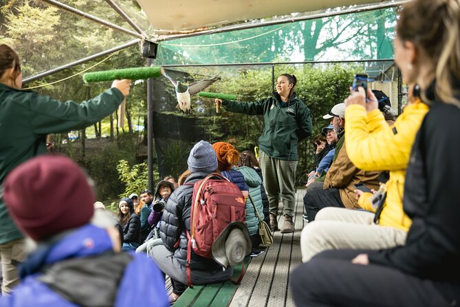 Kiwi Park Queenstown Admission - Conservation is part of the visit