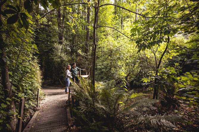 Kiwi Park Queenstown Admission - Is $39.72 good value?