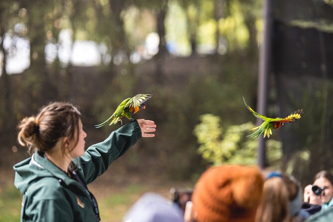 Kiwi Park Queenstown Admission - Who will enjoy Kiwi Park most