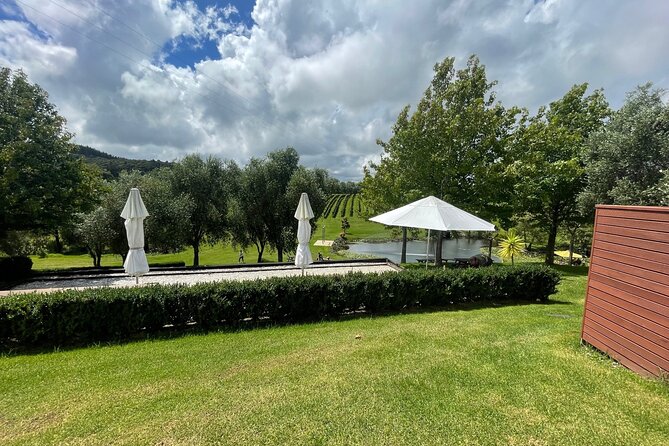 Kumeu Wine Tour - From Auckland city to Kumeu vineyards