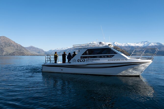 Lake Cruise & Mou Waho Island Nature Walk - Why Mou Waho is more than a standard lake cruise