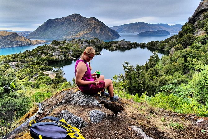 Lake Cruise & Mou Waho Island Nature Walk - Tea above Lake Wanaka