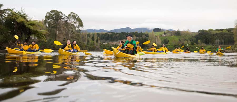 Lake Karapiro: Evening Kayak Glowworm Tour - From Lake Karapiro into the Pokaiwhenua Stream