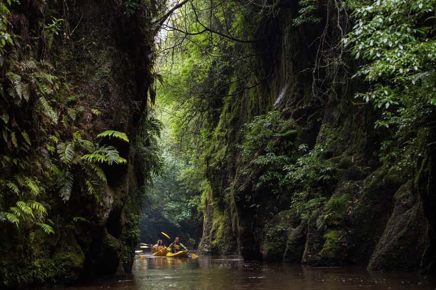 Lake Karapiro: Evening Kayak Glowworm Tour - The canyon carved by water