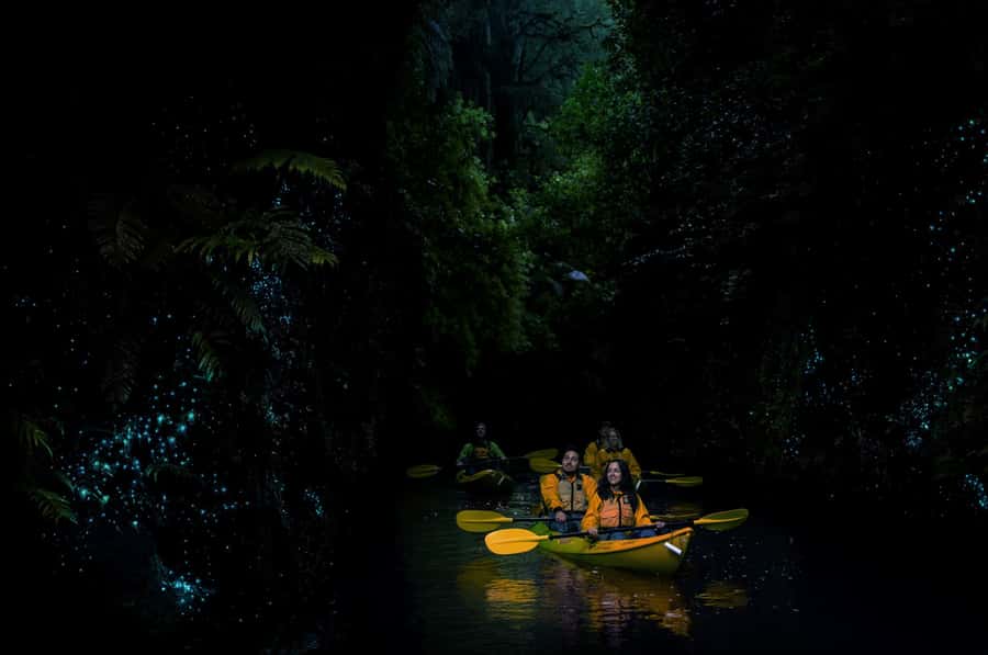 Lake Karapiro: Evening Kayak Glowworm Tour - What the $89 price includes