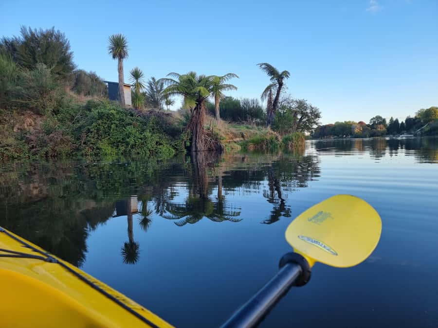 Lake Karapiro: Evening Kayak Glowworm Tour - Who will enjoy this evening most
