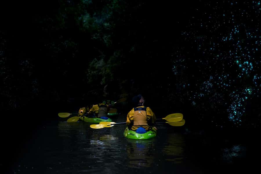 Lake Karapiro: Evening Kayak Glowworm Tour - Practical preparation for a comfortable paddle
