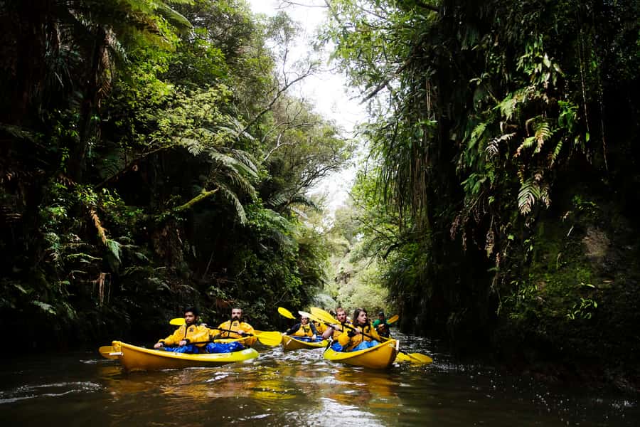 Lake Karapiro: Evening Kayak Glowworm Tour - Waiting for darkness on the riverbank