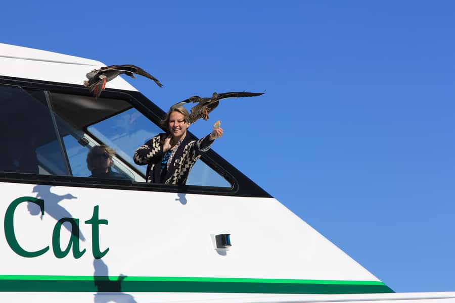 Lake Taupo: 1.5-Hour Maori Rock Carvings 5:00 PM Cruise - Should you book the 5:00 PM Lake Taupo cruise?