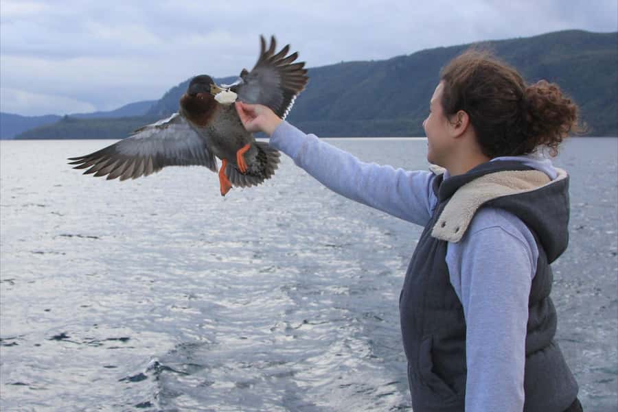 Lake Taupo: Maori Rock Carvings 10.30 AM 1.5-Hour Cruise - Families, older travelers, and wheelchair access