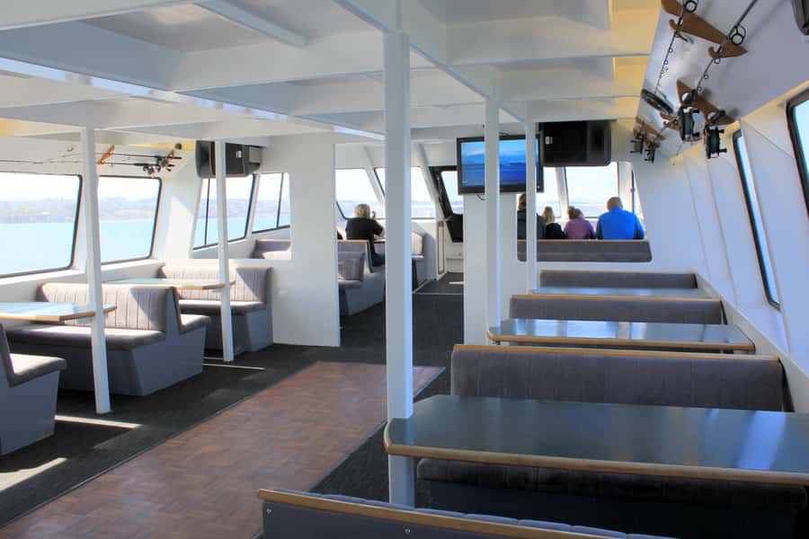 Lake Taupo: Maori Rock Carvings 8.30 AM 1.5-Hour Cruise - Is the $35 Price Good Value?