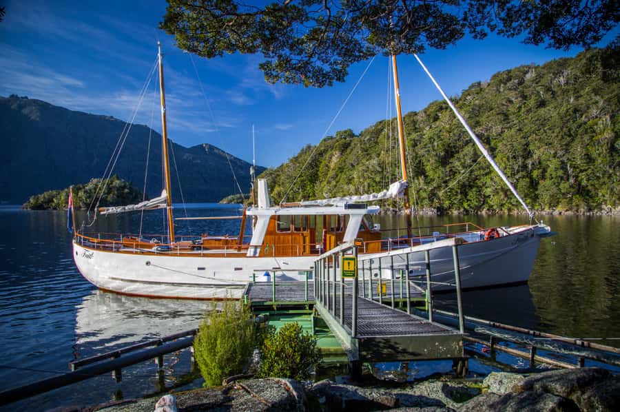 Lake Te Anau: 3-Hour Boat Cruise with Guided Walk - A personal, hands-on style of guiding