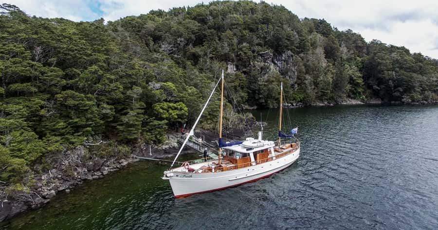 Lake Te Anau: 3-Hour Boat Cruise with Guided Walk - Is $86 per person good value?