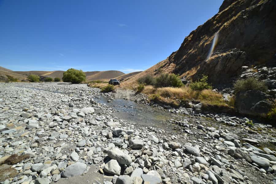 Lake Tekapo Guided 4WD Tours (Small Group, Carbon Positive) - Meeting the animals of Mt Hay Station