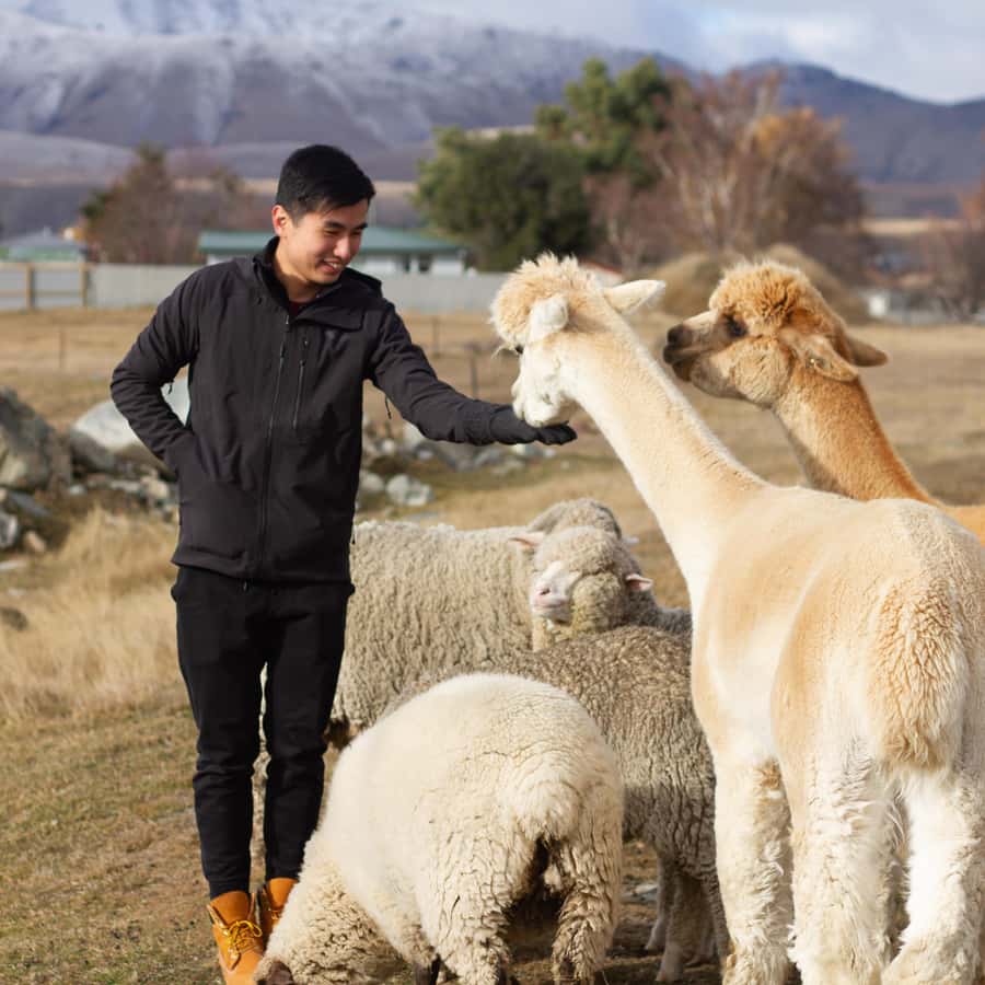 Lake Tekapo: Guided Petting Zoo Visit - Who will enjoy this short farm visit?