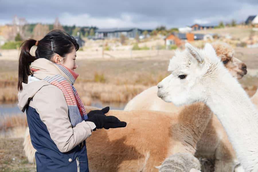 Lake Tekapo High Country Farm Tour (Carbon Positive) - Key points to know before you book