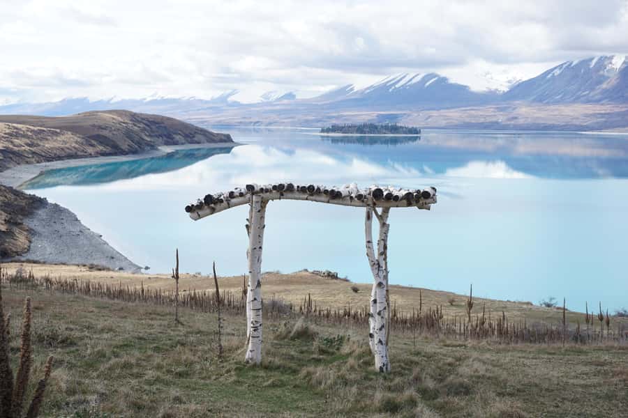 Lake Tekapo High Country Farm Tour (Carbon Positive) - Merino sheep, Angus cattle, and working dogs