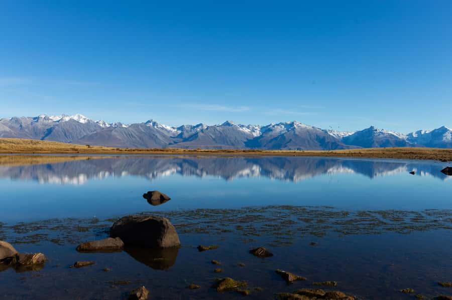 Lake Tekapo High Country Farm Tour (Carbon Positive) - The private Mt. John lookout