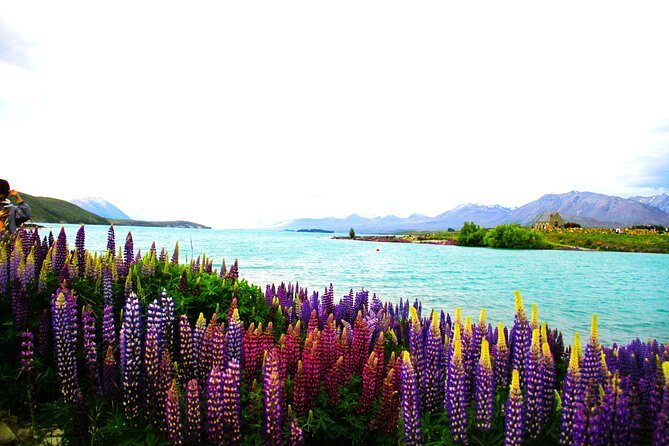 Lake Tekapo Stargazing & Mount Cook 2-Day Tour from Christchurch - Lake Tekapo after dark
