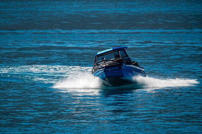 Lake Wānaka: 3 hour Fishing Adventure by Boat - Keeping and preparing your catch