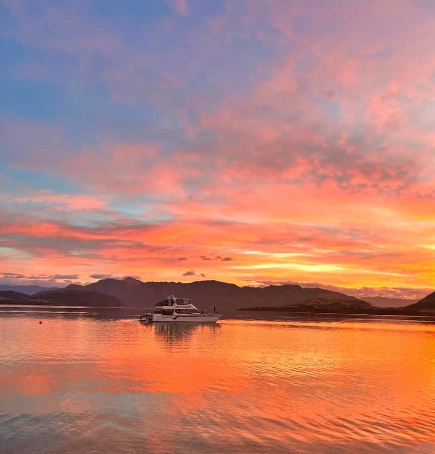 Lake Wanaka Happy Hour Cruise - Practical tips for a smoother hour