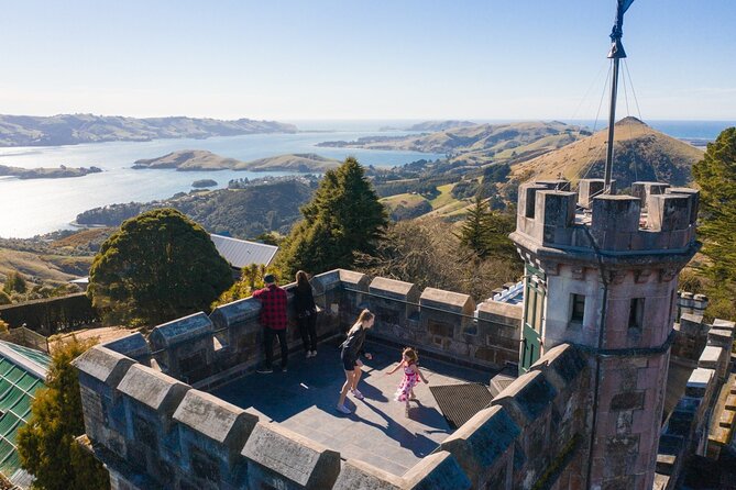 Larnach Castle & Otago Wildlife Cruise from Dunedin - Why this pairing works so well in Dunedin