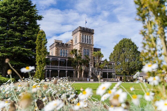 Larnach Castle & Otago Wildlife Cruise from Dunedin - The road across the Otago Peninsula