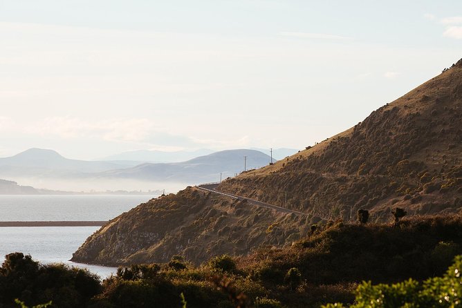 Larnach Castle & Otago Wildlife Cruise from Dunedin - What Taiaroa Head adds to the day