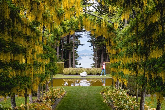 Larnach Castle & Otago Wildlife Cruise from Dunedin - Weather, cancellations, and useful planning tips