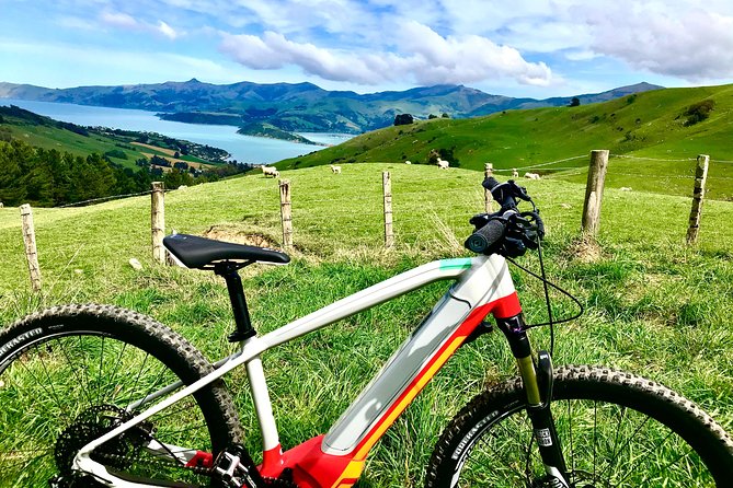 Lava Loop- Guided electric mountain bike tour in Akaroa - Starting at The Common Cafe at 3:30 pm