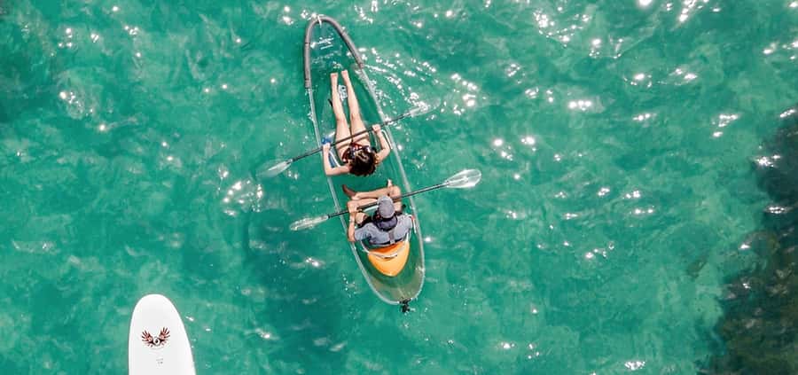 Leigh: Goat Island Clear Kayak Rental - Looking for snapper, moki, and blue maomao