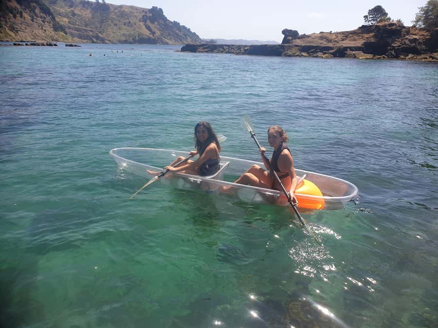 Leigh: Goat Island Clear Kayak Rental - Is $107 good value for two people?