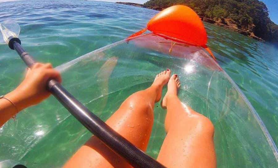 Leigh: Goat Island Clear Kayak Rental - Paddling over Goat Island’s clear water