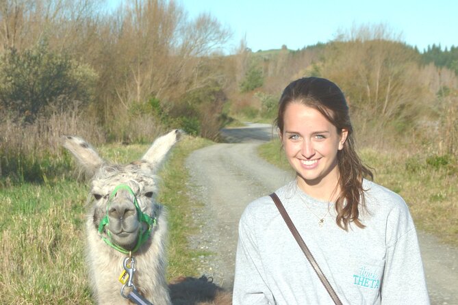 Llama Trek (Taster) - Kowhai River Valley and Native Woodland Tour - What the price includes in practical terms