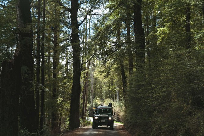 Lord of Rings Tour around Queenstown Lakes by 4WD (full day) - Arrow River, river crossing, and gold panning