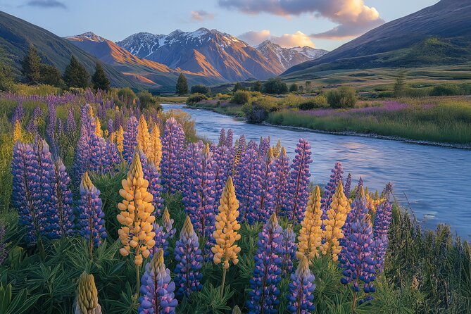 Lord of the Rings Scenic Half Day Tour from Queenstown - The guides make the difference
