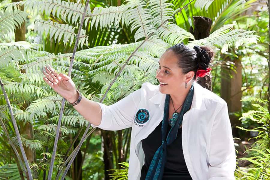 Luxury Auckland & West Coast Day Tour with Maori Guide - Key points at a glance