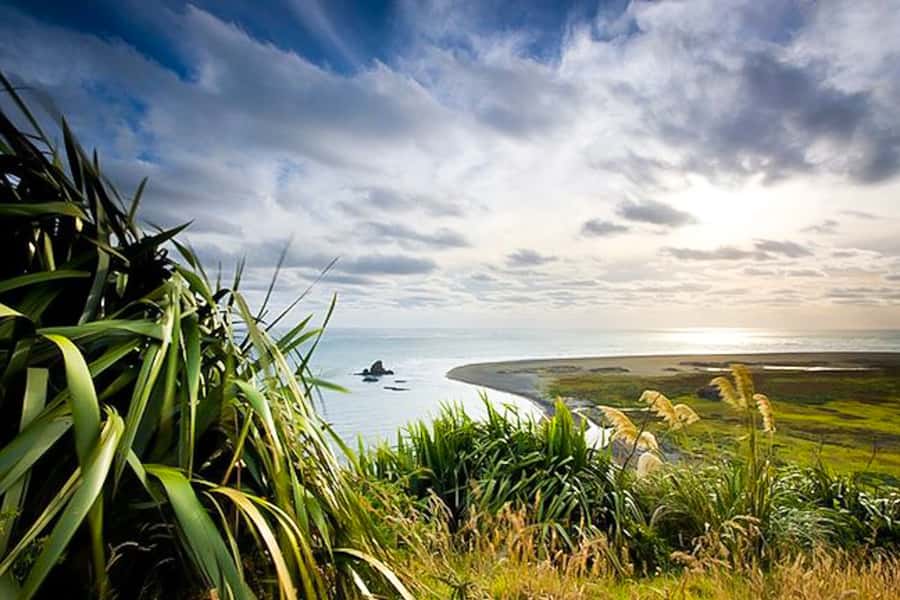 Luxury Auckland & West Coast Day Tour with Maori Guide - Devonport offers a harbour village pause