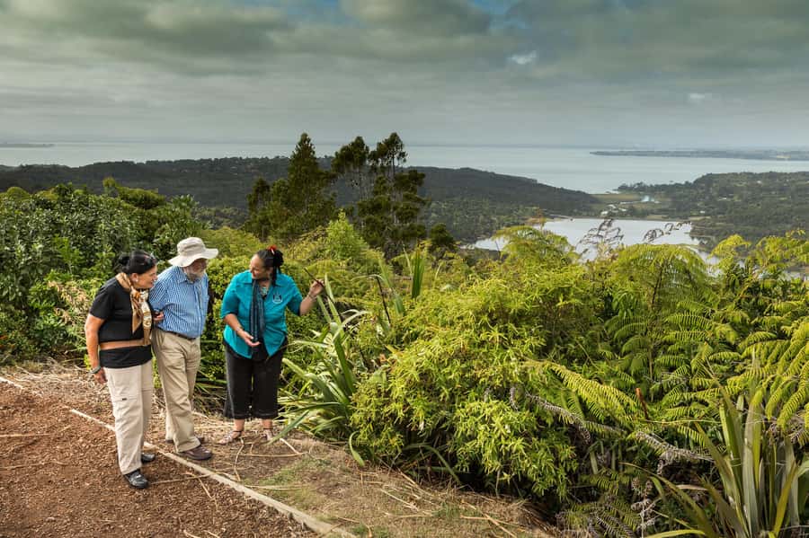 Luxury Auckland & West Coast Day Tour with Maori Guide - Arataki provides the big West Coast view