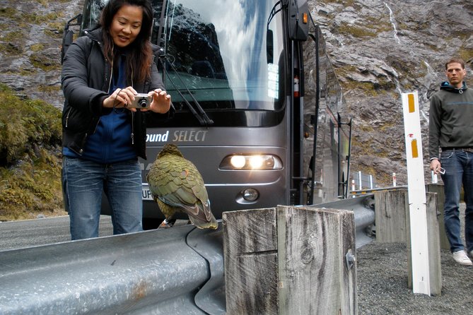 Luxury Milford Sound Coach and Scenic Cruise - Lake Wakatipu begins the morning