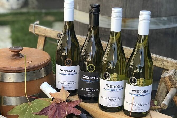 Luxury Private Auckland Wine & Beach Tour with Lunch - Who should book this experience?