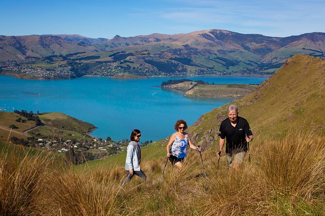 Luxury Private Guided Crater Rim Walk on Banks Peninsula - Key points at a glance