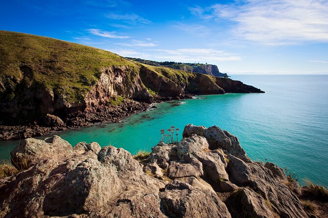 Luxury Private Guided Crater Rim Walk on Banks Peninsula - What the private format changes