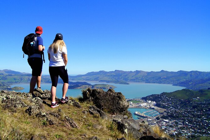 Luxury Private Guided Crater Rim Walk on Banks Peninsula - Lunch, hot drinks, and useful trail gear