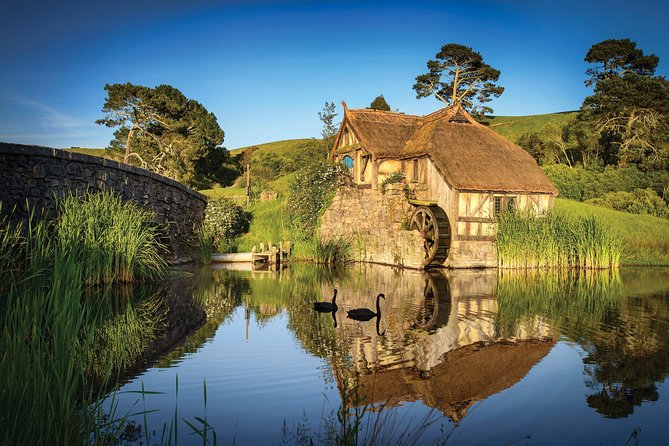 Luxury Private Transfers: Auckland Airport to City - Port transfers and early airport runs