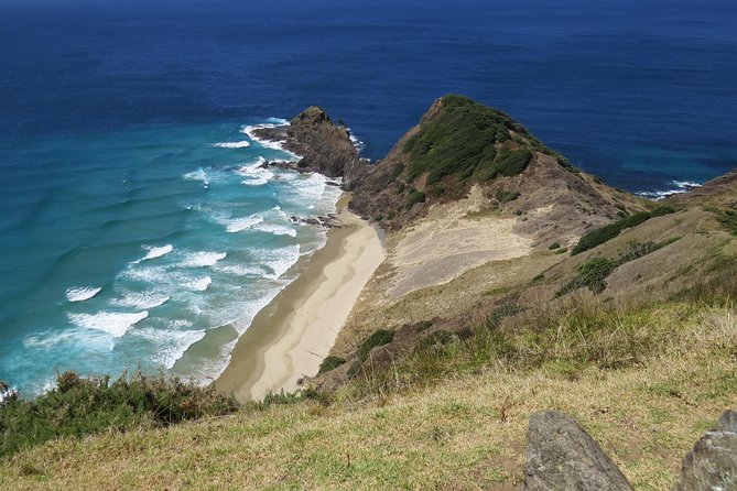 Luxury Private Transfers: Auckland Airport to City - Friendly drivers and communication