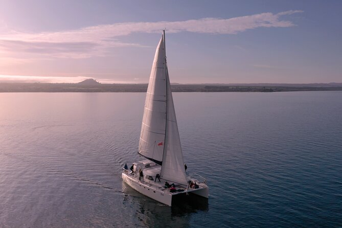 Luxury Sailing - Māori Rock Carvings - Taupo Sailing Adventures - Drinks, snacks, and the relaxing return