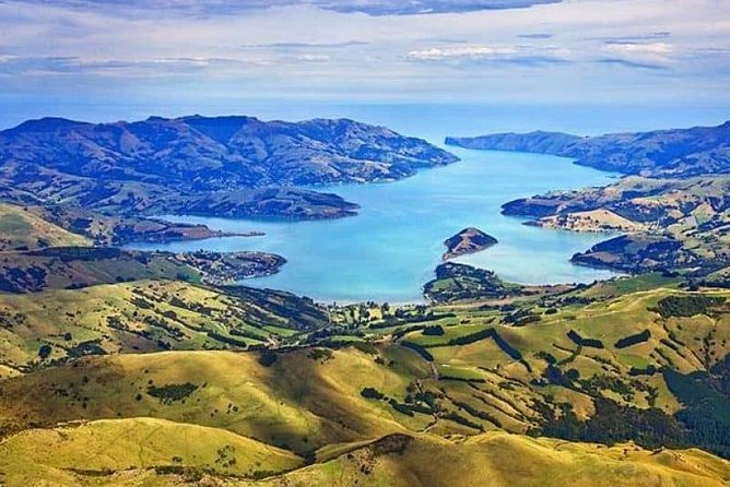 Lyttelton Cruise Excursions: Christchurch Sightseeing with Sheep Farm - Cathedral Square and the Christchurch rebuild